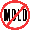 Clean and Stop Mold